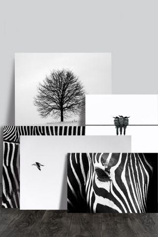 تابلو بدون قاب