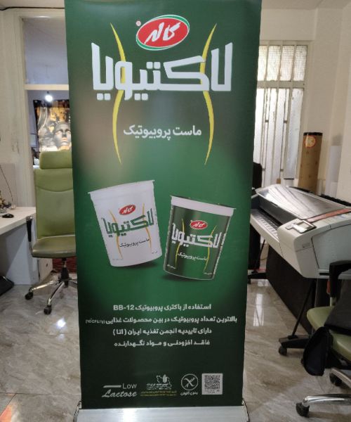 استند رول آپ