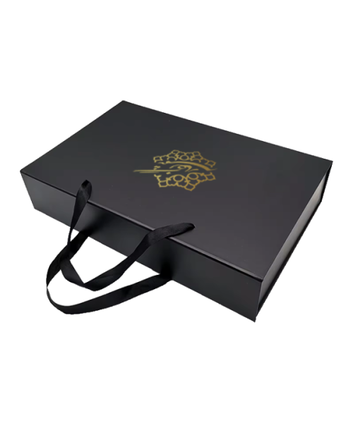 هاردباکس دسته دار