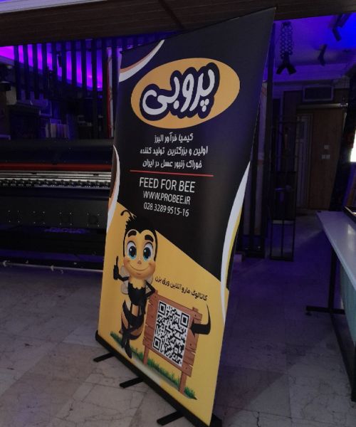 استند رول آپ