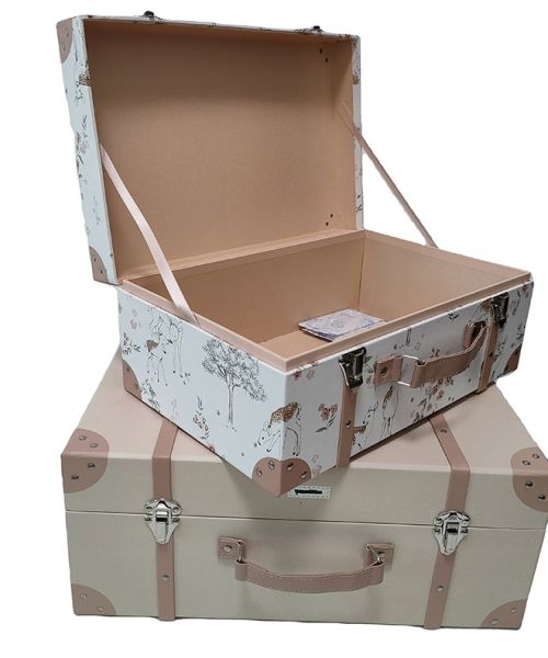 هاردباکس چمدانی