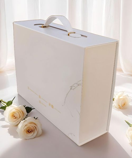 هاردباکس چمدانی