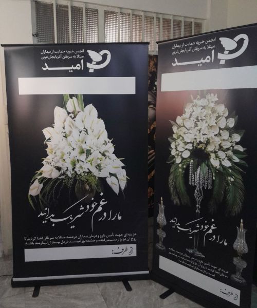 استند رول آپ