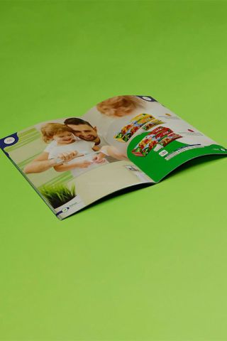 چاپ کاتالوگ 2 لت A4